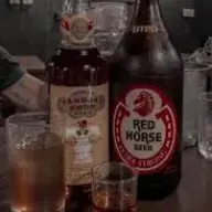 tanduayhorse