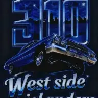 wedawest310