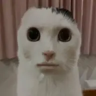 ChussaWarrior