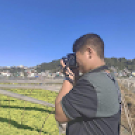 rovipogi12329