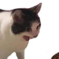 dcbgfs