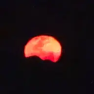 bickdig_