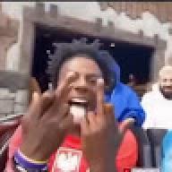 sheistygorilla
