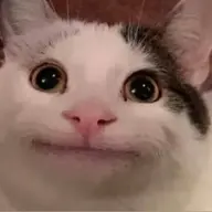 M00MIN