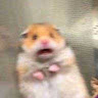 iwtfpn