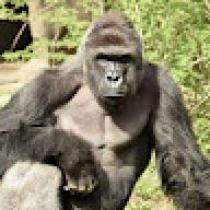 GloriusKing