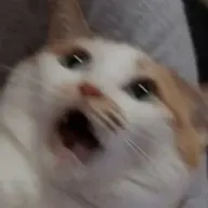 buragwitmo