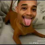 jerbax100