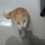 ewjhcrn2y3wh