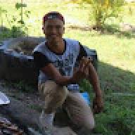 olid