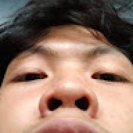 hibi