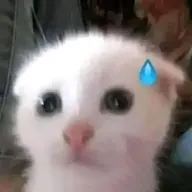 Ryuz0