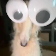 Zeiru