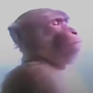 aaaaaaabbbb