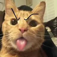 seantdopee