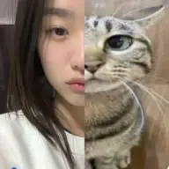 yyseornsfwknjj