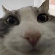 pqpqpqpqwowowowo05