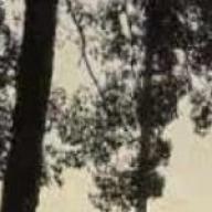 weigeg97