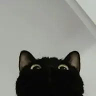 _jeekol