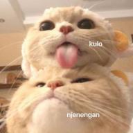 Xoxojo