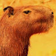 capibara92