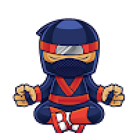ninja19