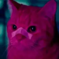 mediatestanimals