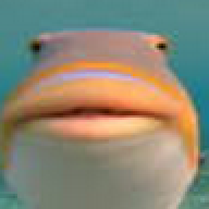 jjjjjddd