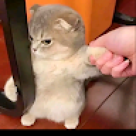 Fff