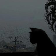 Twilight_