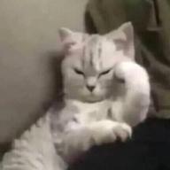 zunc