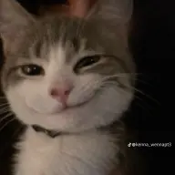 ozzyossabort