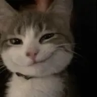 wiwowiwowiwoooo777
