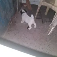 zzzccc3