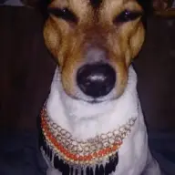 Areslol