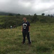 elsar