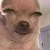 kaoksdmm