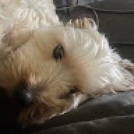 Nddbbcvn