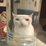 SinceCN