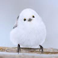 abowenx72