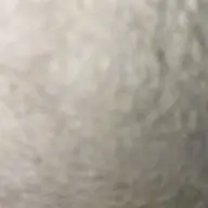 cicada3301
