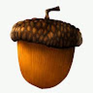 thehazelnutt