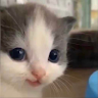 killmeplz11