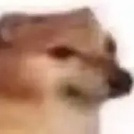 1518679009