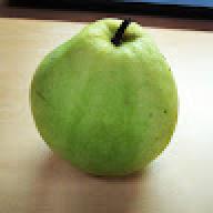 ginx