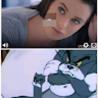 Dfgv