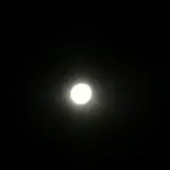 xinzhaooo