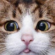 nyaknyakkk