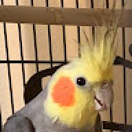Dakusg2