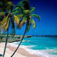 Breadfruit21